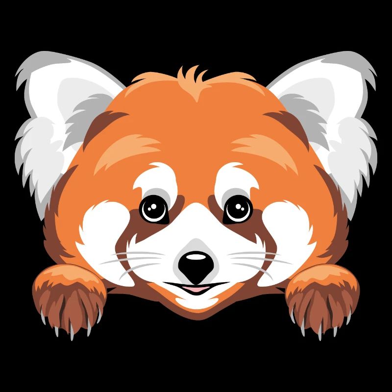 Peeking cute red panda