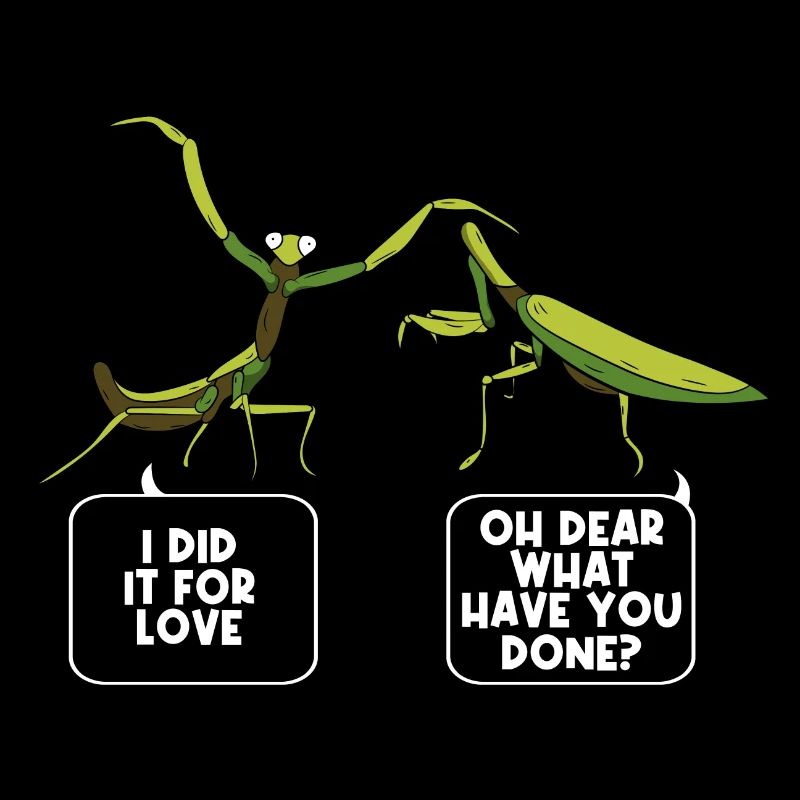 Insects Mantises Bug Funny Praying Mantis