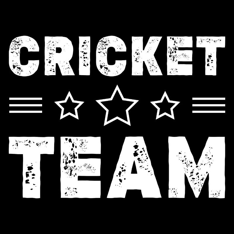 Équipe de cricket