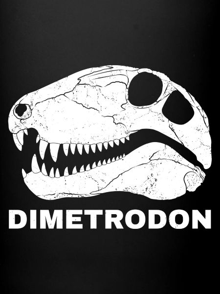 Crâne fossile de dimétrodon