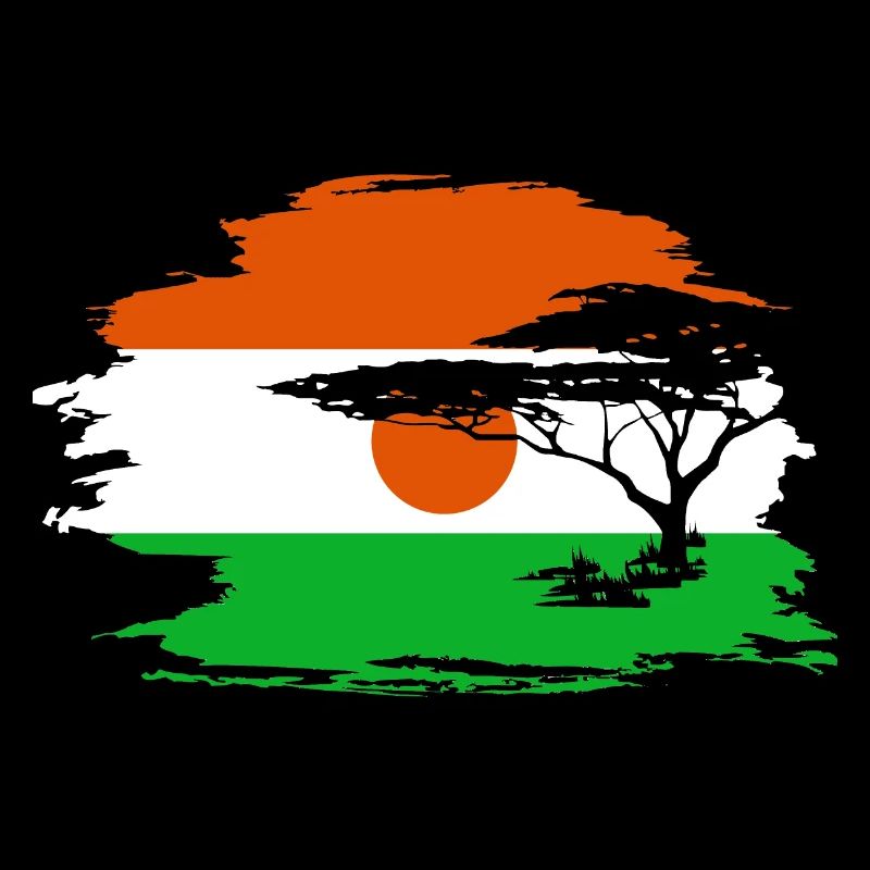 Niger Afrique Afrique drapeau drapeau