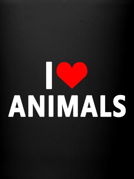Animal Love