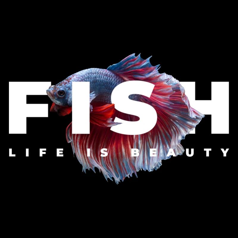 Betta Fish Keeper Aquarium Owner