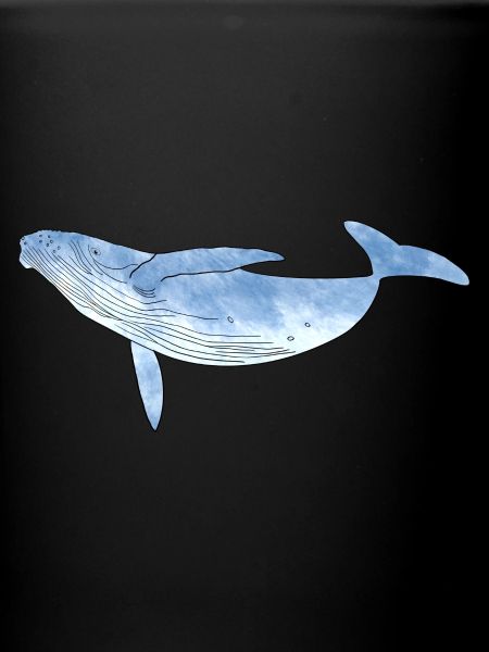 humpback whale