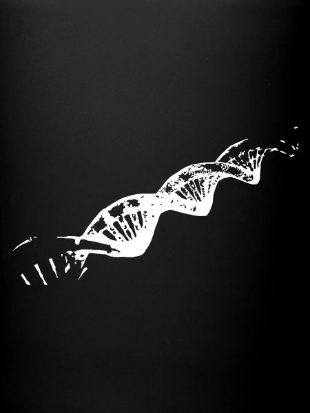 ADN