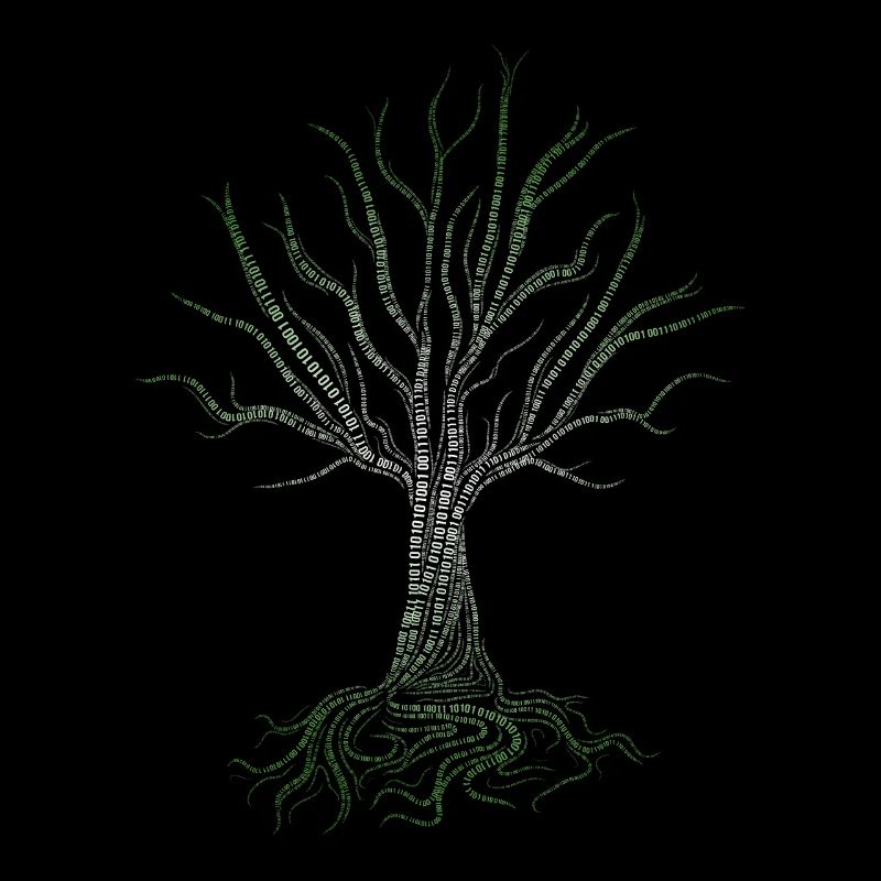 Binary Tree Computer Coding Programmer