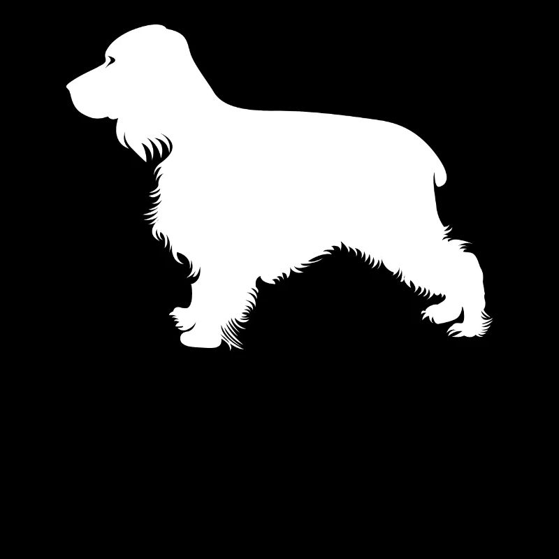 Englischer Cocker Spaniel