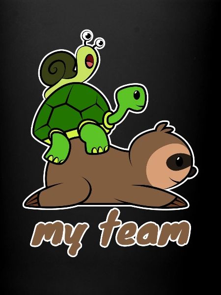 Team Slow