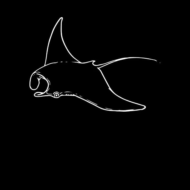 Ray Manta