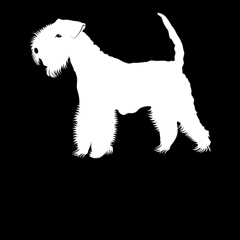 Lakeland terrier