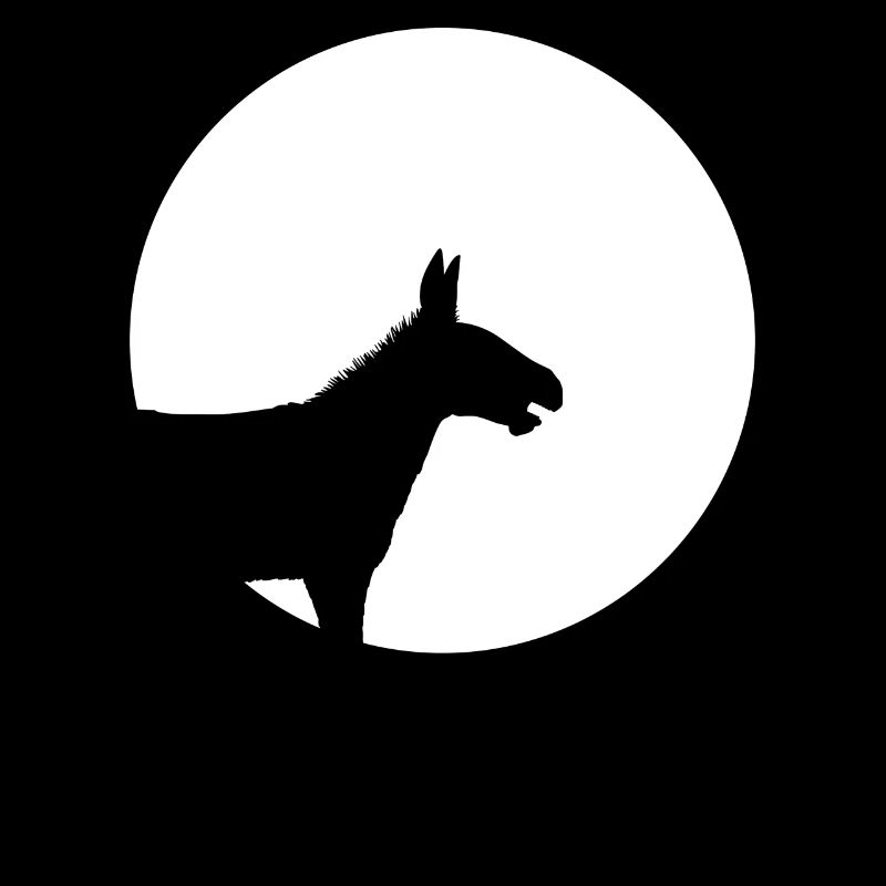 Idée de cadeau drôle d'âne mulet lune