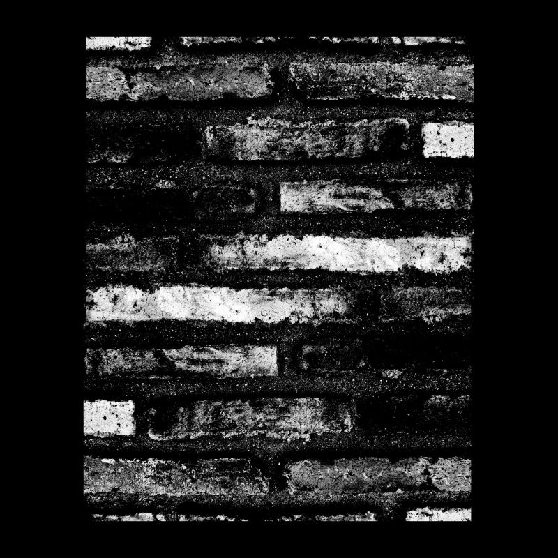 Black and white. Bricks background vinrag