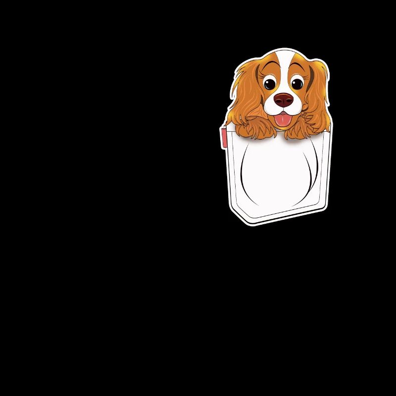 Cavalier King Charles Spaniel Chien de poche