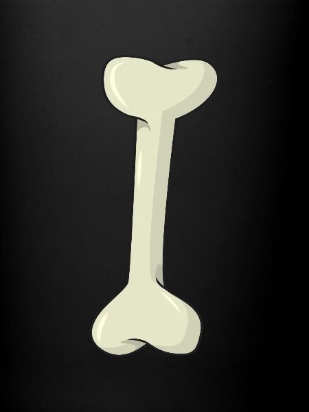 bone