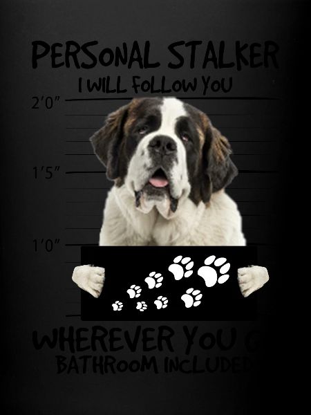 Saint Bernard