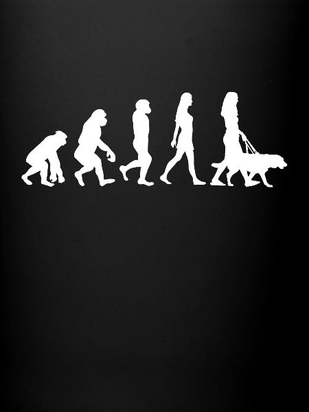 Chien chien evolution