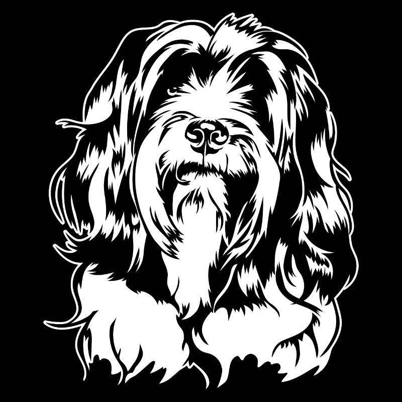 Tibetan Terrier Portrait Chien Portrait Chien Wilsigns