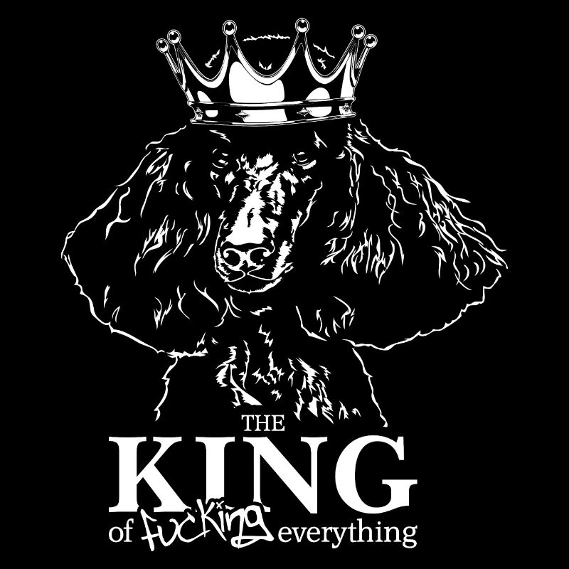 Caniche King Dog Dire Big Poodle King Poodle Dogs