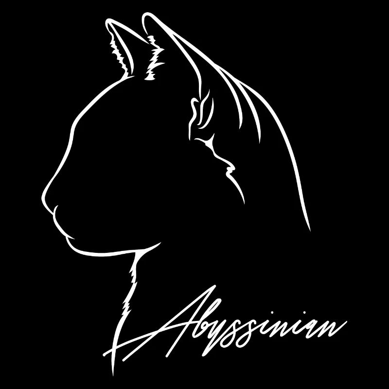Abyssinian Profil Katzen Katze Wilsigns