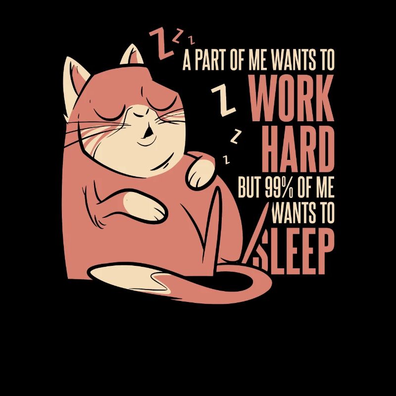 Humour de chat