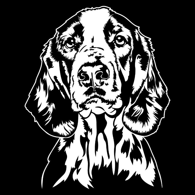 Welsh Springer Spaniel Portrait Dogs Wilsigns