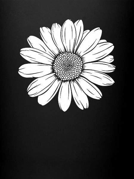 Marguerites