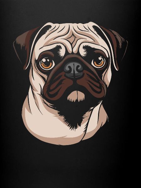 Pug Dog