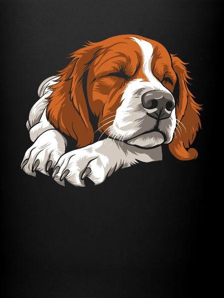 Brittany Spaniel