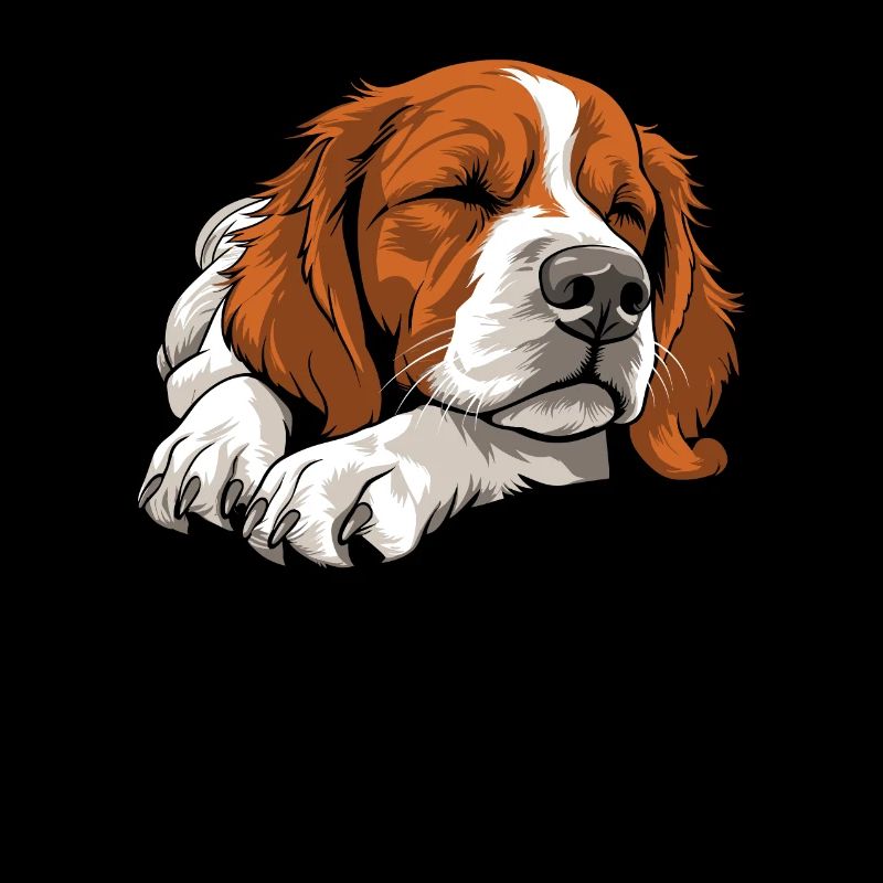 Brittany Spaniel