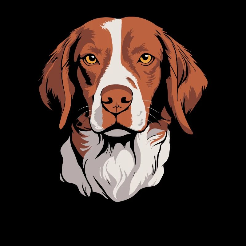 Brittany Spaniel