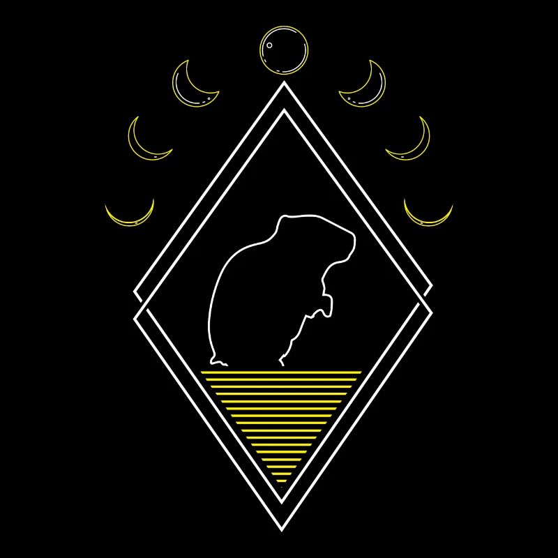 Hamster Goldhamster Abstrakt Moon Phases