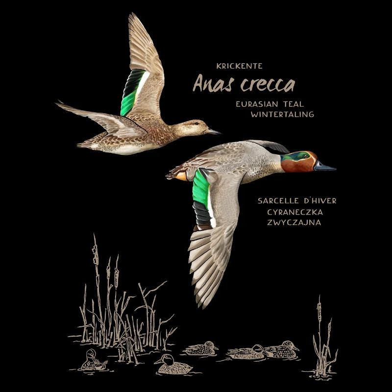 Teals with light lettering