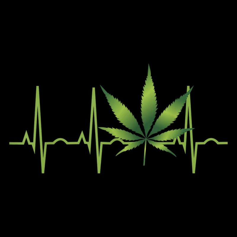 Cannabis chanvre THC 420