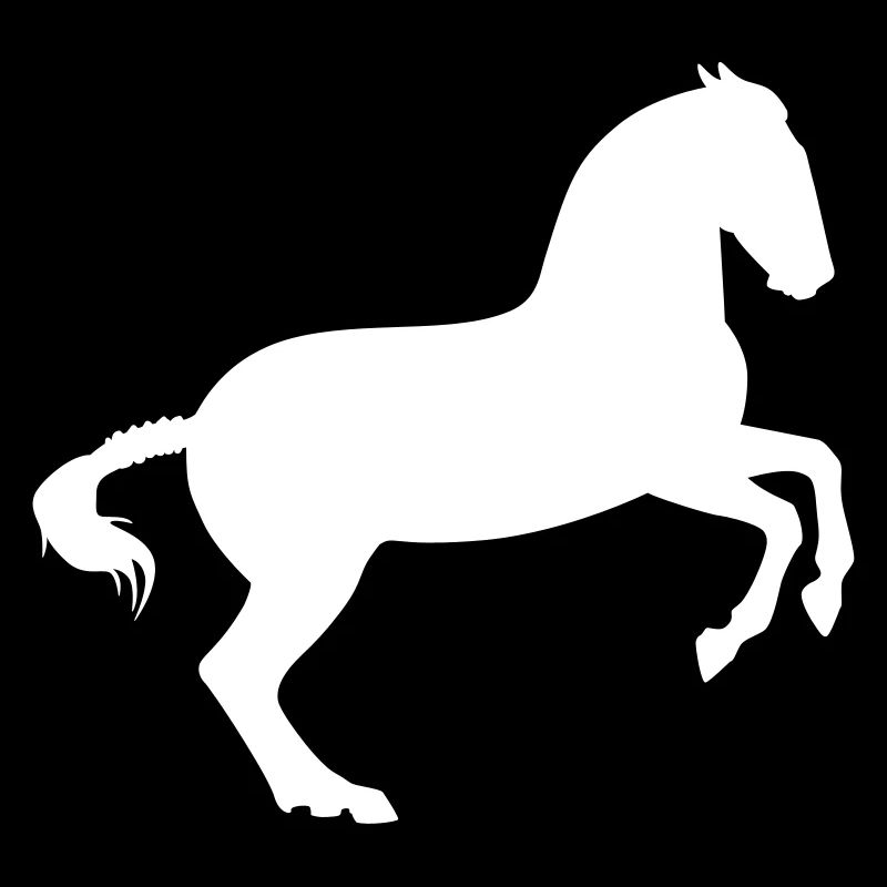 Working equitation Barockpferd