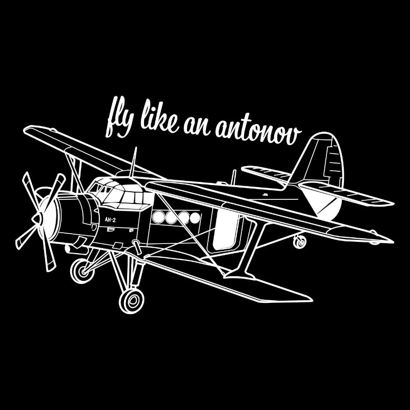 Antonov An-2 Airplane Biplane USSR Gift