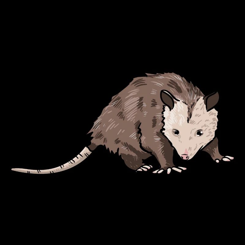 opossum