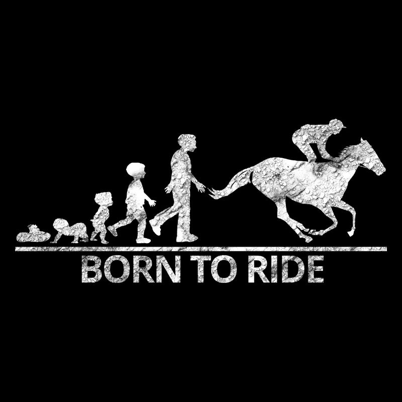 Reiten Pferde Evolution Hobby