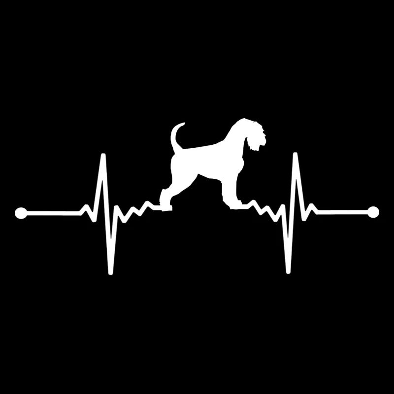 Moustache - Museau géant