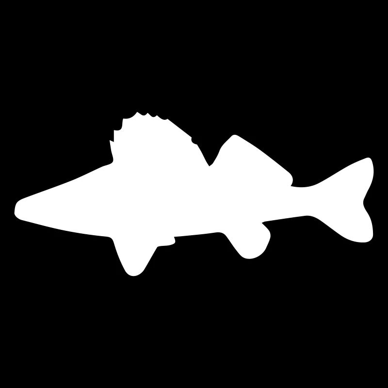 Perche - Sander lucioperca - pêcheur, poisson