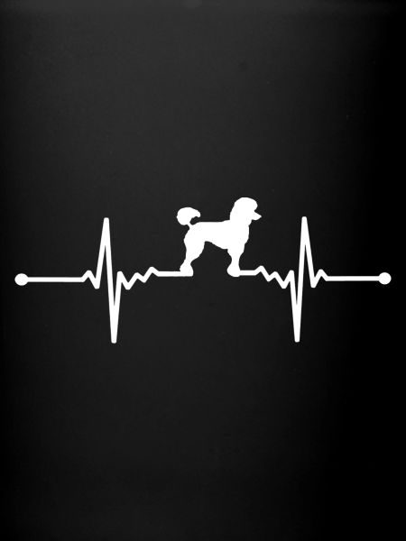 Caniche - Caniche
