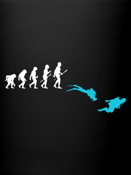 Diving Evolution Divers
