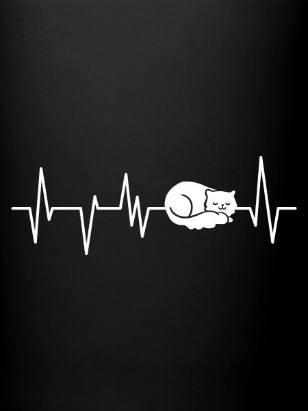 Cats Cat Cat