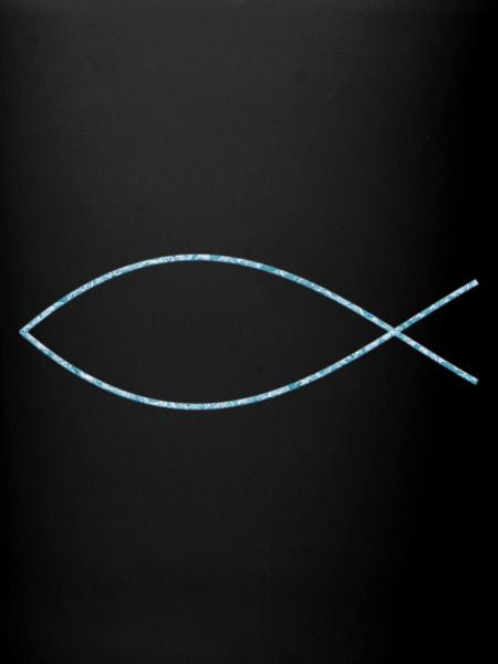 Ichthys (fish)