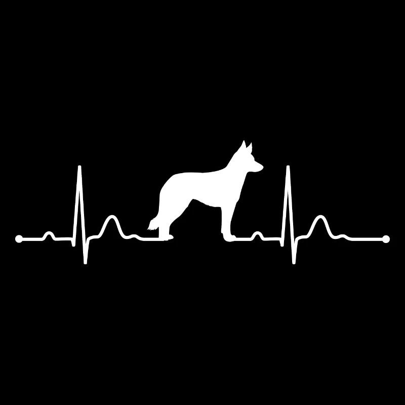 Australian Koolie heartbeat Herzschlag Wilsigns