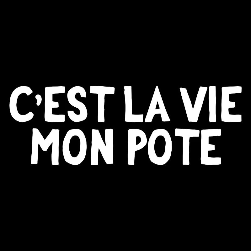 C'est la vie mon pote