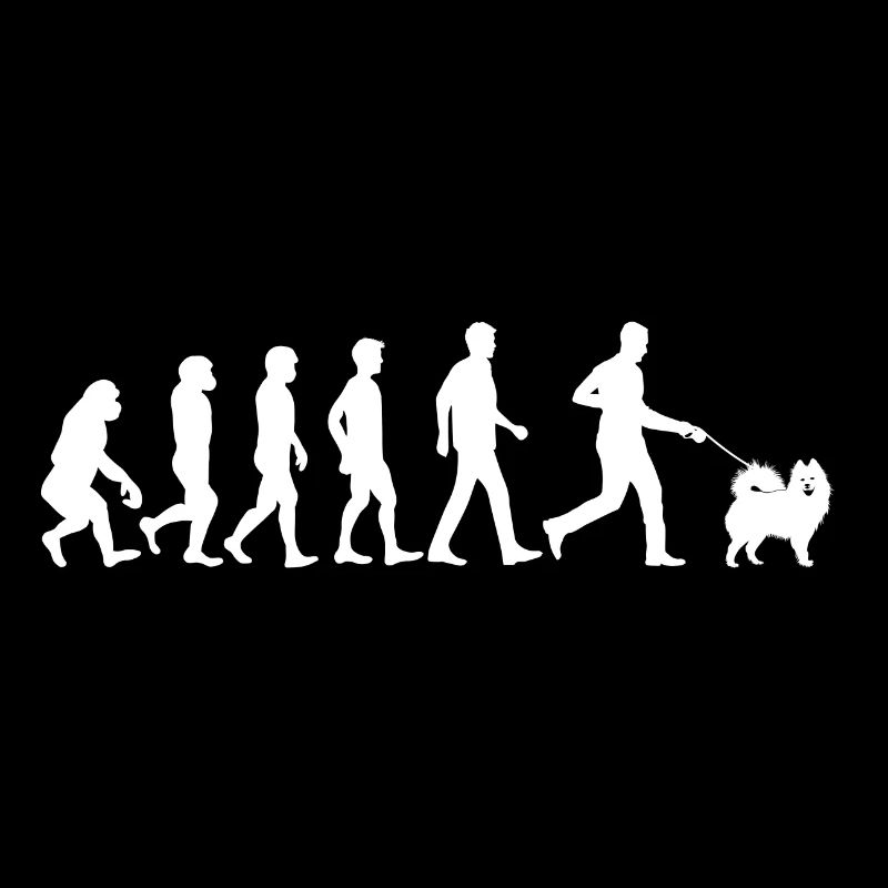 Samoyed Hund Evolution Hundebesitzer