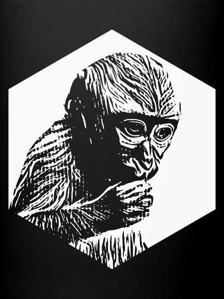 Singe réfléchi hexagone