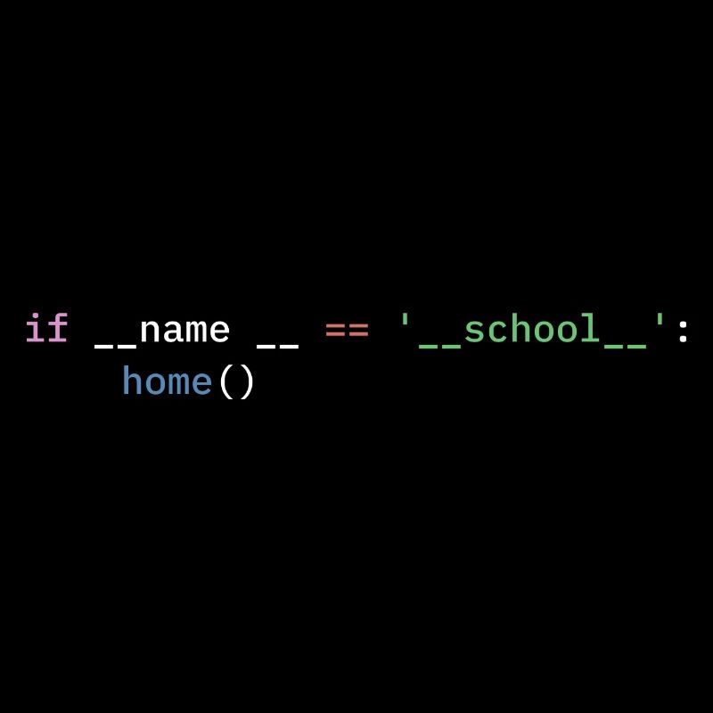 Python Programmer School Student Funny