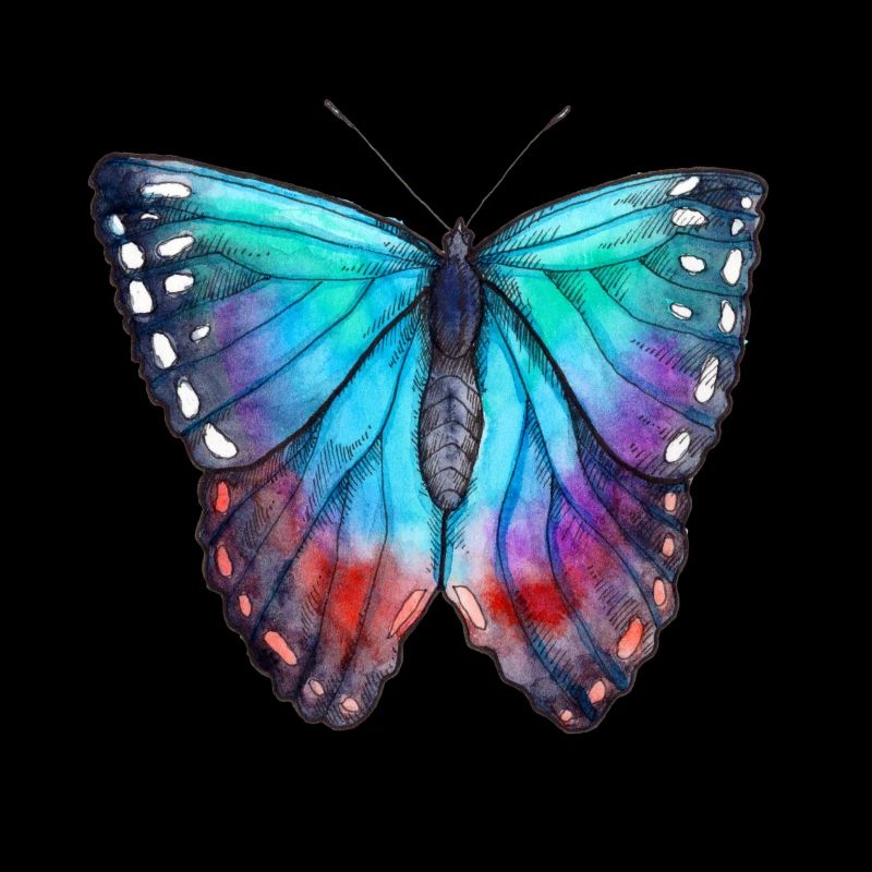 Blauer Schmetterling
