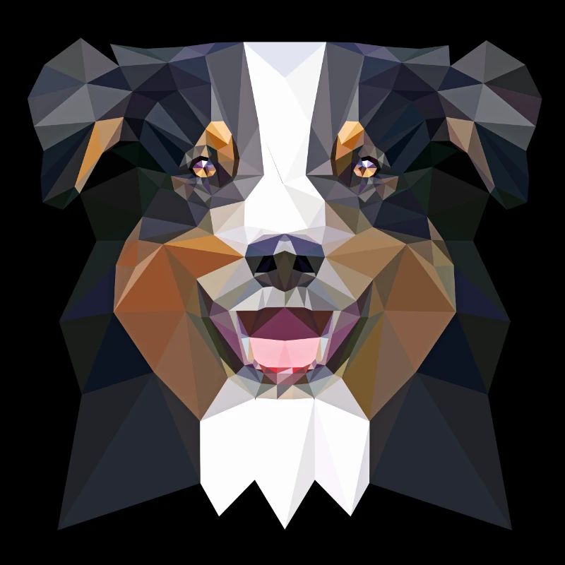 Aussie low poly black
